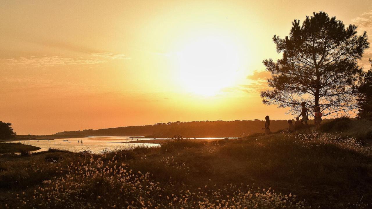 Villa Des Loups De Mer Talmont-Saint-Hilaire Exteriér fotografie